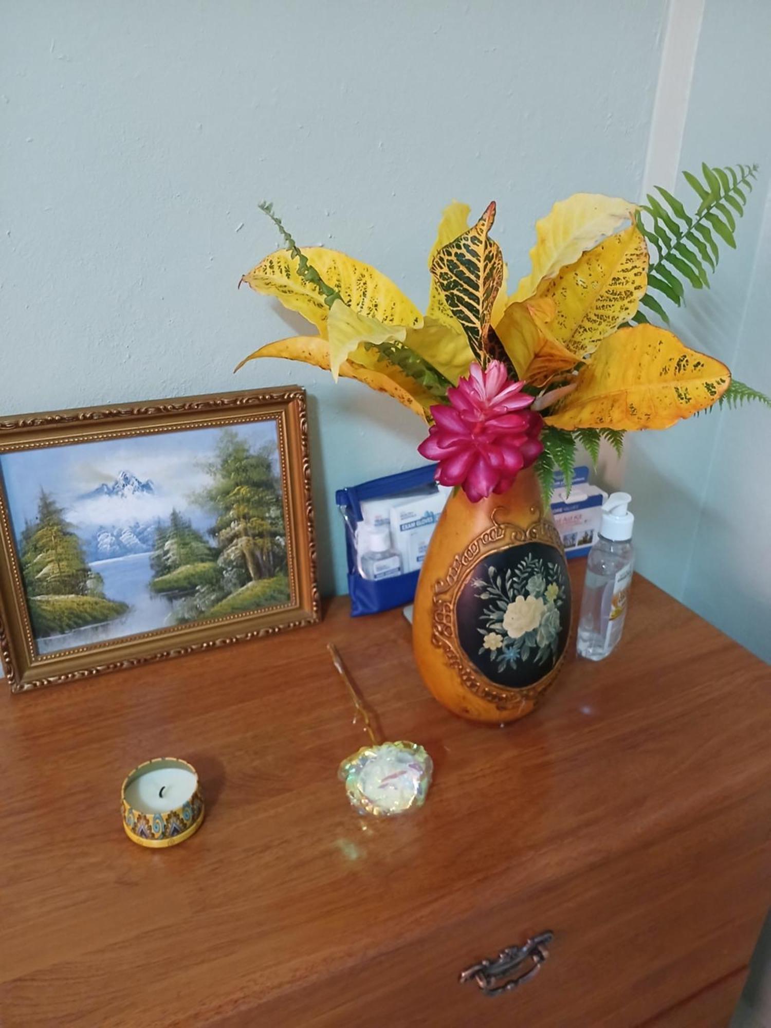 Natrue'S Haven Bed and Breakfast Marigot Exteriör bild